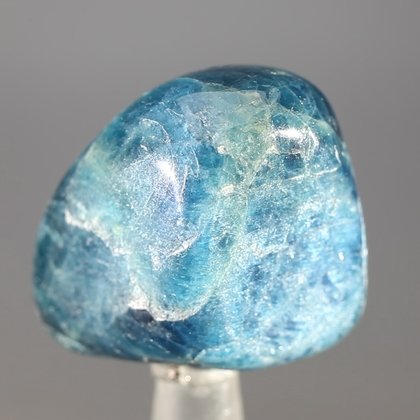 Blue Apatite Tumblestone  ~33mm