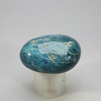 Blue Apatite Tumblestone  ~33mm