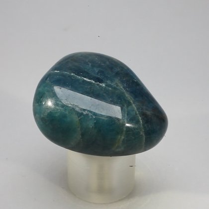 Blue Apatite Tumblestone  ~37mm