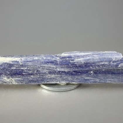 Blue Kyanite Healing Crystal ~105mm