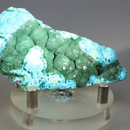 Botryoidal Malachite & Chrysocolla Healing Mineral ~73mm