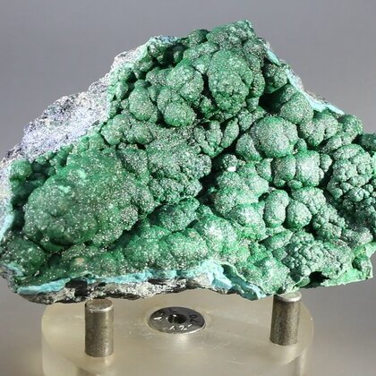 Botryoidal Malachite & Chrysocolla Healing Mineral ~75mm