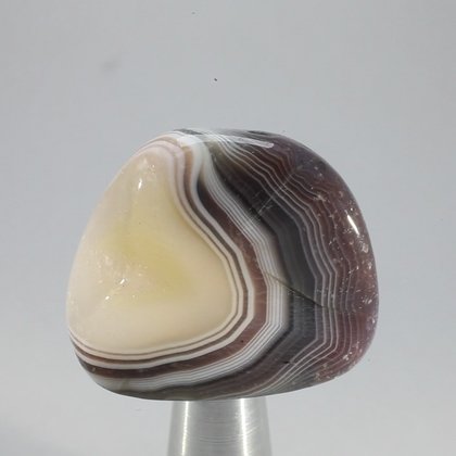 Botswana Agate Tumblestone ~34mm