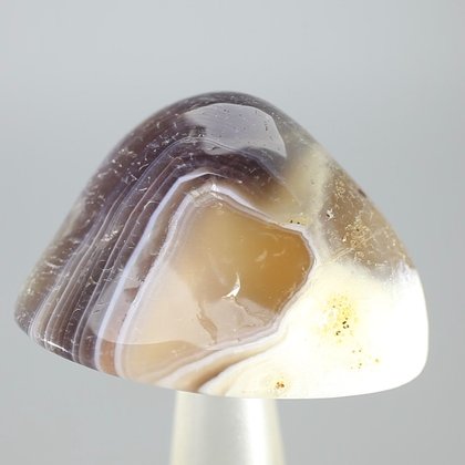 Botswana Agate Tumblestone ~39mm
