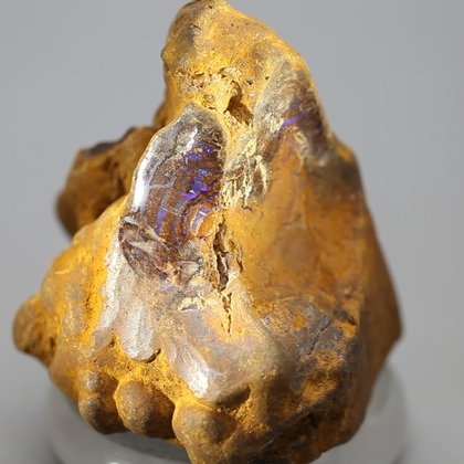 Boulder Opal   ~45mm