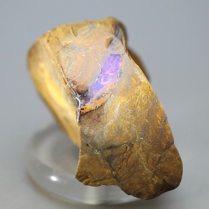 Boulder Opal   ~48mm