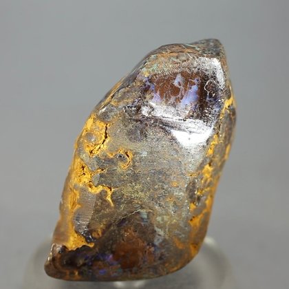 Boulder Opal   ~50mm