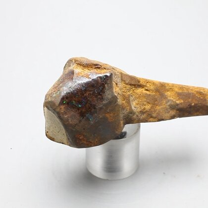 Boulder Opal   ~58mm