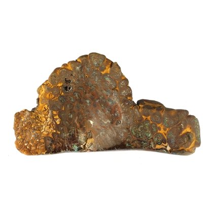 Boulder Opal   ~70mm
