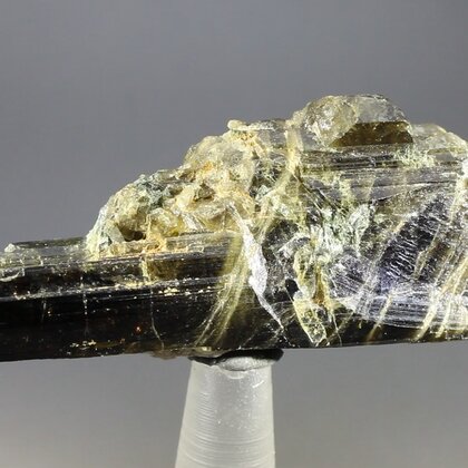 Brazilian Epidote Healing Crystal ~55mm