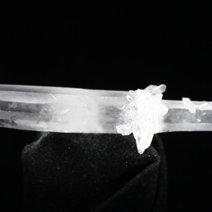 Bridge Quartz Crystal Specimen ~ 95mm