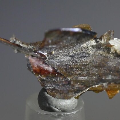 Brookite Healing Crystal ~19mm