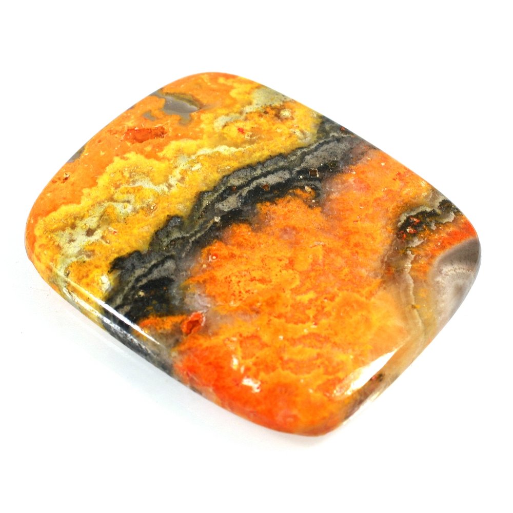 Bumble Bee Jasper