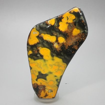 Bumble Bee Jasper Polished Freeform ~111x63mm