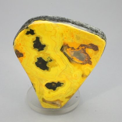 Bumble Bee Jasper Polished Freeform ~50x46mm