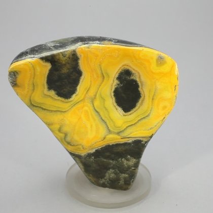 Bumble Bee Jasper Polished Freeform ~54x53mm