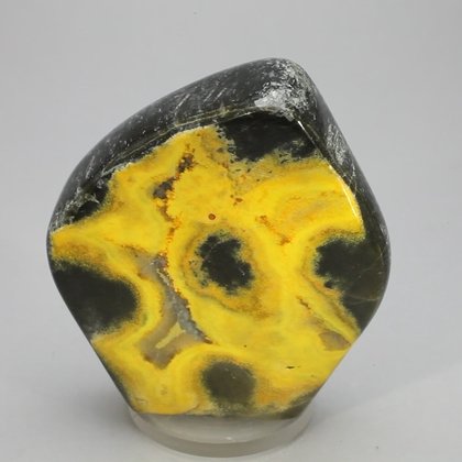 Bumble Bee Jasper Polished Freeform ~57x52mm