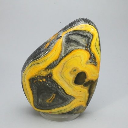 Bumble Bee Jasper Polished Freeform ~64x52mm