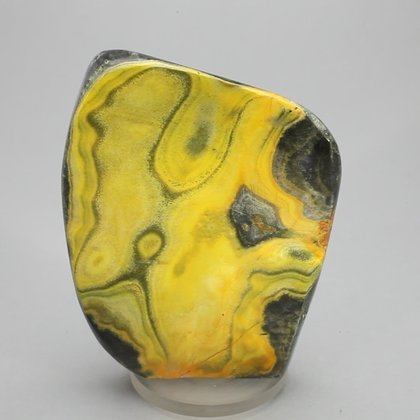 Bumble Bee Jasper Polished Freeform ~65x49mm