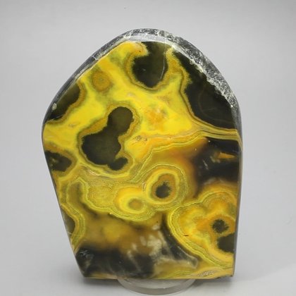 Bumble Bee Jasper Polished Freeform ~90x68mm