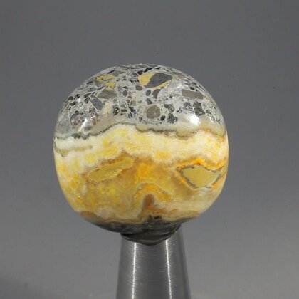Bumble Bee Jasper Tumblestone ~26mm