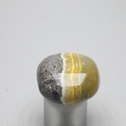 Bumble Bee Jasper Tumblestone ~27mm