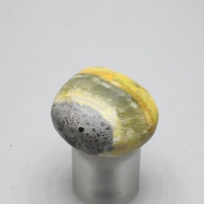 Bumble Bee Jasper Tumblestone ~28mm