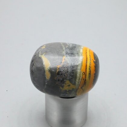 Bumble Bee Jasper Tumblestone ~29mm