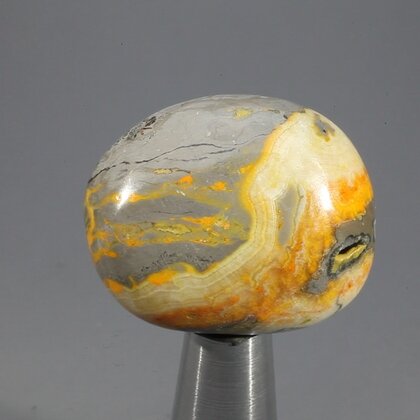 Bumble Bee Jasper Tumblestone ~30mm