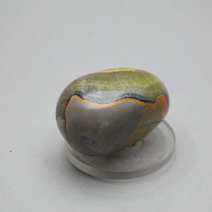 Bumble Bee Jasper Tumblestone ~32mm