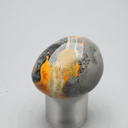 Bumble Bee Jasper Tumblestone ~32mm