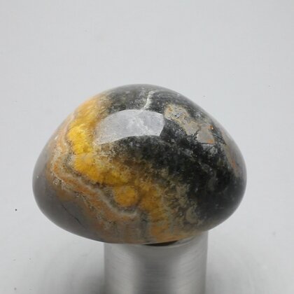 Bumble Bee Jasper Tumblestone ~37mm