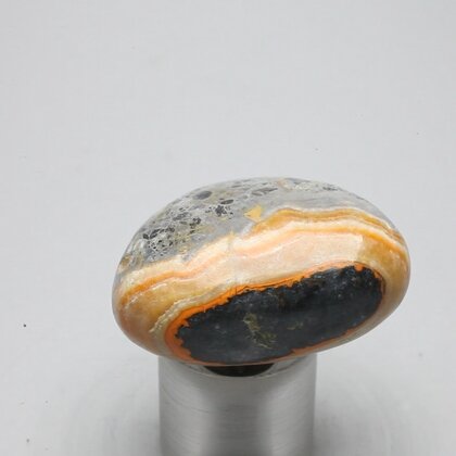 Bumble Bee Jasper Tumblestone ~39mm