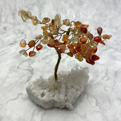 Carnelian Gemtree on Quartz Cluster ~115mm