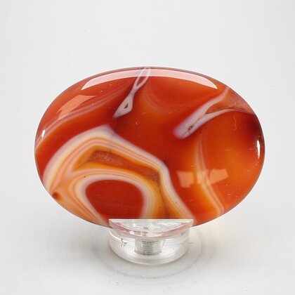 Carnelian Palmstone (Extra Grade) ~70x50mm