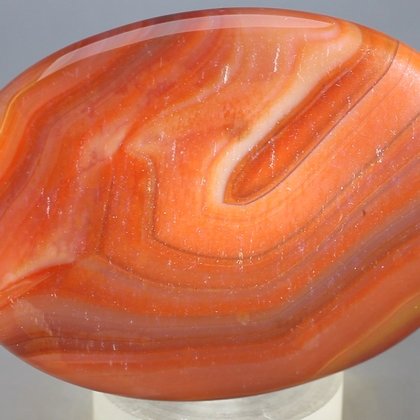 Carnelian Palmstone (Extra Grade) ~70x50mm