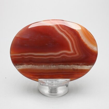 Carnelian Palmstone (Extra Grade) ~70x50mm