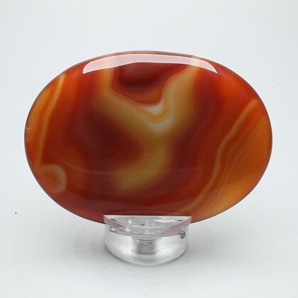 Carnelian Palmstone (Extra Grade) ~70x50mm