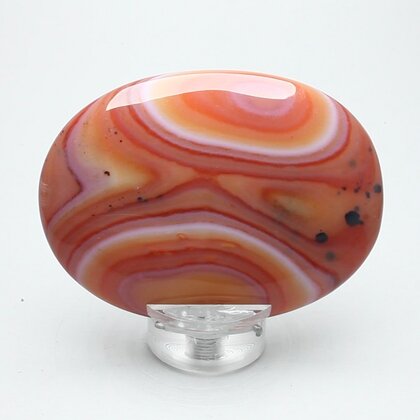 Carnelian Palmstone (Extra Grade) ~70x50mm