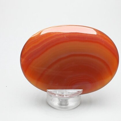 Carnelian Palmstone (Extra Grade) ~70x50mm