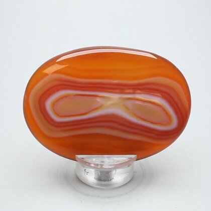 Carnelian Palmstone (Extra Grade) ~70x50mm
