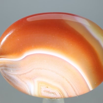 Carnelian Thumbstone ~40mm