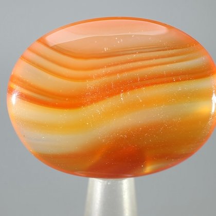 Carnelian Thumbstone (Extra Grade) ~40 x 30 mm