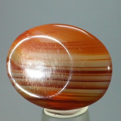 Carnelian Thumbstone (Extra Grade) ~40 x 30 mm