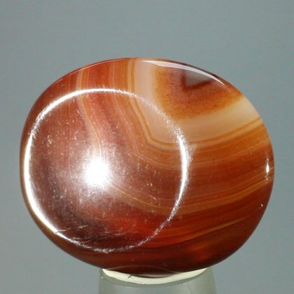 Carnelian Thumbstone (Extra Grade) ~40 x 30 mm