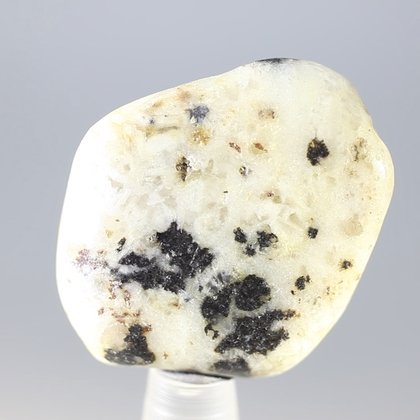 Cassiterite in Quartz Tumblestone ~31mm