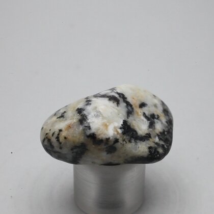 Cassiterite in Quartz Tumblestone ~35mm