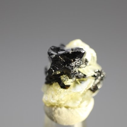 Cassiterite (Mini) Healing Crystal ~10mm