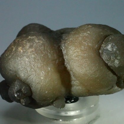 Chalcedony Womb Stone ~57mm