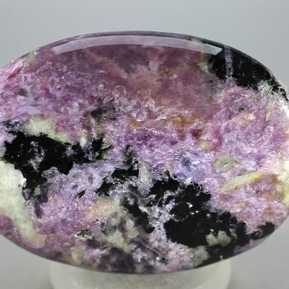 Charoite Palmstone (Extra Grade) ~70x50mm